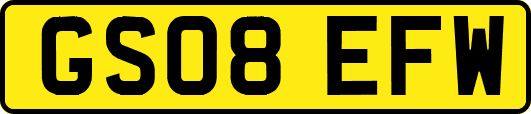 GS08EFW