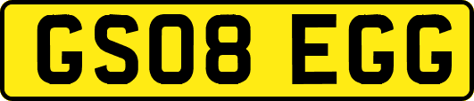 GS08EGG