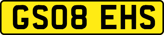 GS08EHS