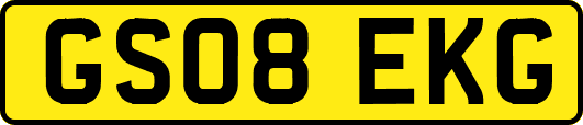 GS08EKG