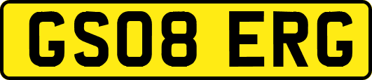 GS08ERG