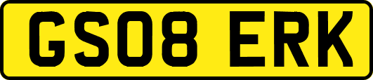 GS08ERK