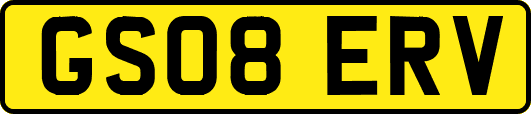 GS08ERV