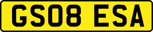 GS08ESA