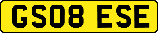 GS08ESE