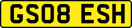 GS08ESH
