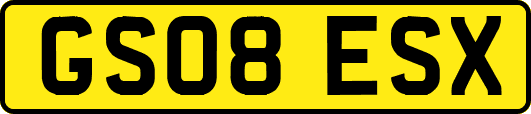 GS08ESX