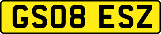 GS08ESZ