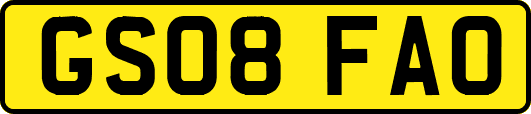 GS08FAO