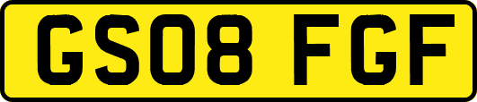 GS08FGF