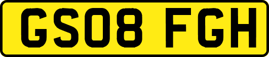 GS08FGH