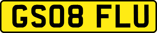 GS08FLU