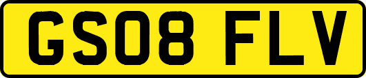 GS08FLV