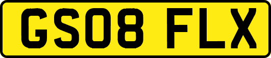 GS08FLX