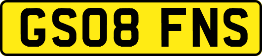GS08FNS