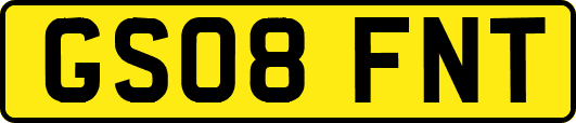 GS08FNT