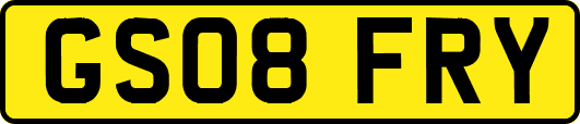 GS08FRY