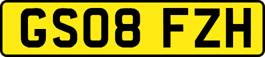 GS08FZH