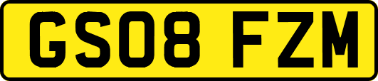 GS08FZM
