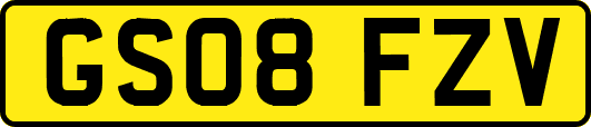 GS08FZV