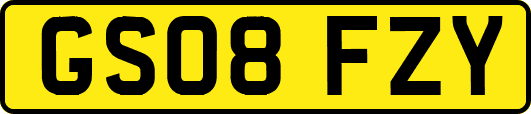 GS08FZY
