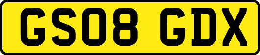 GS08GDX