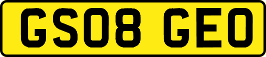 GS08GEO