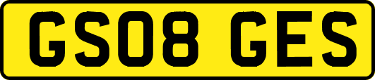GS08GES