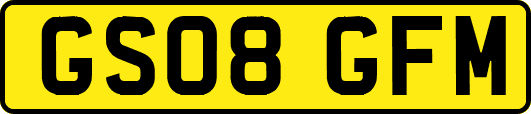 GS08GFM