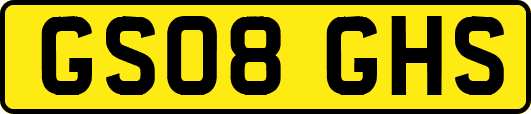 GS08GHS