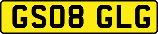 GS08GLG