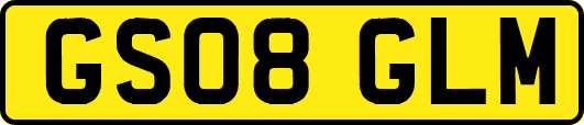 GS08GLM