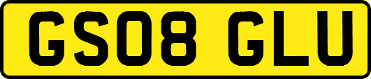 GS08GLU