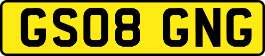 GS08GNG