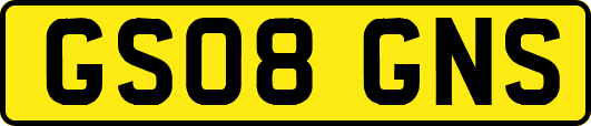 GS08GNS