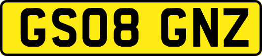 GS08GNZ