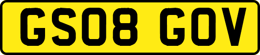 GS08GOV