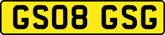 GS08GSG