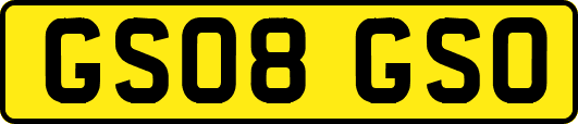 GS08GSO