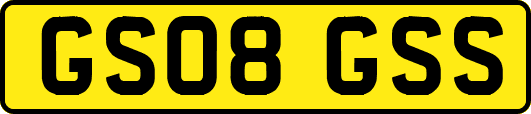GS08GSS