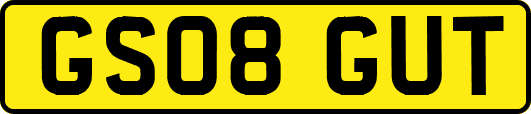 GS08GUT