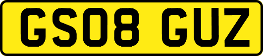 GS08GUZ