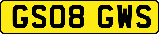 GS08GWS
