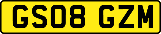 GS08GZM