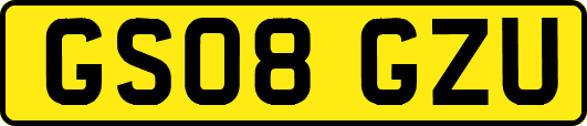 GS08GZU