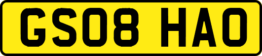 GS08HAO