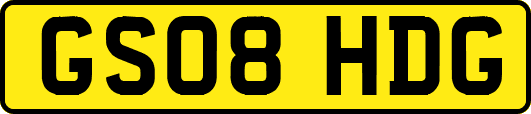 GS08HDG