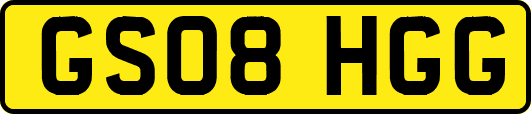 GS08HGG