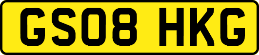 GS08HKG