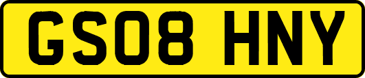 GS08HNY